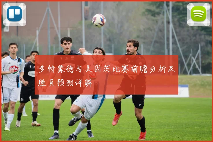 多特蒙德与美因茨比赛前瞻分析及胜负预测详解