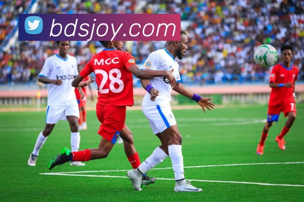 mk体育平台生态图